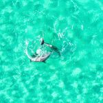 DJI_0499_mod