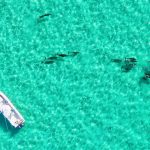 DJI_0502_mod